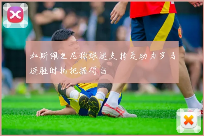 加斯佩里尼称球迷支持是动力罗马连胜时机把握得当