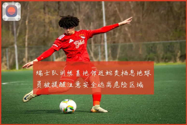 瑞士队训练基地邻近蛇类栖息地球员被提醒注意安全远离危险区域