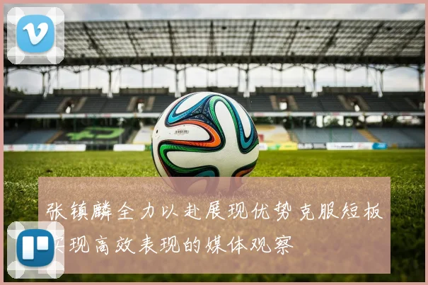 张镇麟全力以赴展现优势克服短板实现高效表现的媒体观察